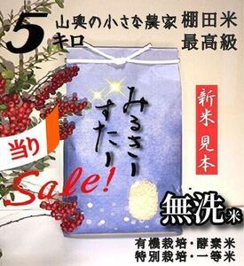 【超希少】ミルキースター　酵素米　玄米 ５ｋｇ「無洗米に精米」棚田米　新米　米　無洗米　コシヒカリ　つや姫　ミルキークィーン