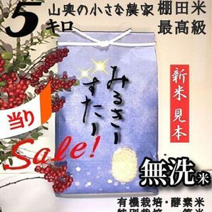 【超希少】ミルキースター　酵素米　玄米 ５ｋｇ「無洗米に精米」棚田米　新米　米　無洗米　コシヒカリ　つや姫　ミルキークィーン