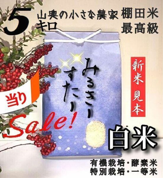 【超希少】ミルキースター　酵素米　玄米 ５ｋｇ「標準白米に精米」棚田米　新米　米　無洗米　コシヒカリ　つや姫　ミルキークィーン