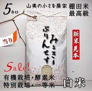 【超希少】ミルキープリンセス　酵素米　玄米 ５ｋｇ「標準白米に精米」棚田米　新米　米　無洗米　コシヒカリ　つや姫　ミルキークィーン