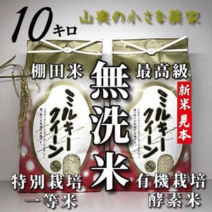 【超希少】ミルキークイーン　酵素米　玄米１０ｋｇ「無洗米に精米」棚田米　新米　米　無洗米　コシヒカリ　つや姫　ミルキークィーン