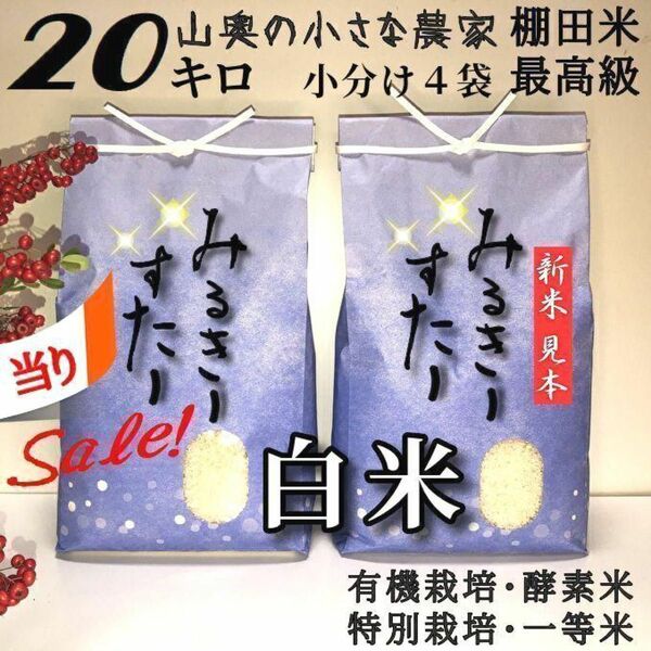 【超希少】ミルキースター　酵素米　玄米２０ｋｇ「標準白米に精米」棚田米　新米　米　無洗米　コシヒカリ　つや姫　ミルキークィーン