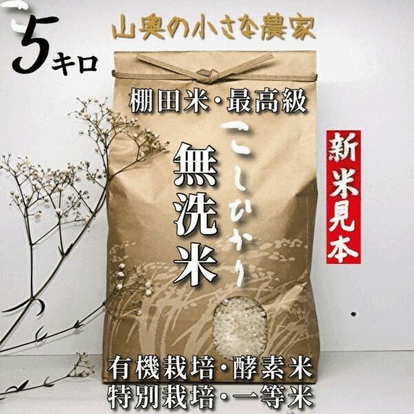 【希少】コシヒカリ　酵素米　玄米５ｋｇ「無洗米に精米」令和５年新米　棚田米　無洗米　ミルキークィーン　ミルキークイーン　つや姫