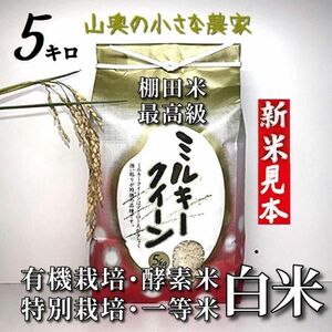 【超希少】ミルキークイーン　酵素米　玄米 ５ｋｇ「標準白米に精米」棚田米　新米　米　無洗米　コシヒカリ　つや姫　ミルキークィーン