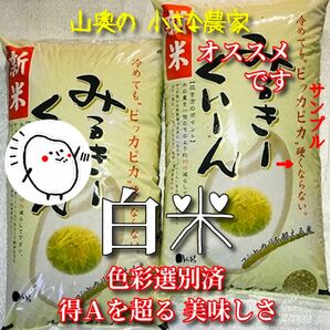 【超希少】ミルキークイーン　酵素米　玄米１０ｋｇ「標準白米に精米」棚田米　新米　米　無洗米　コシヒカリ　つや姫　ミルキークィーン