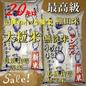 棚田米　ハイブリッド　大粒米　酵素米　玄米２０Kg「無洗米に精米」新米　コシヒカリ　つや姫　ミルキークィーン　ミルキークイーン