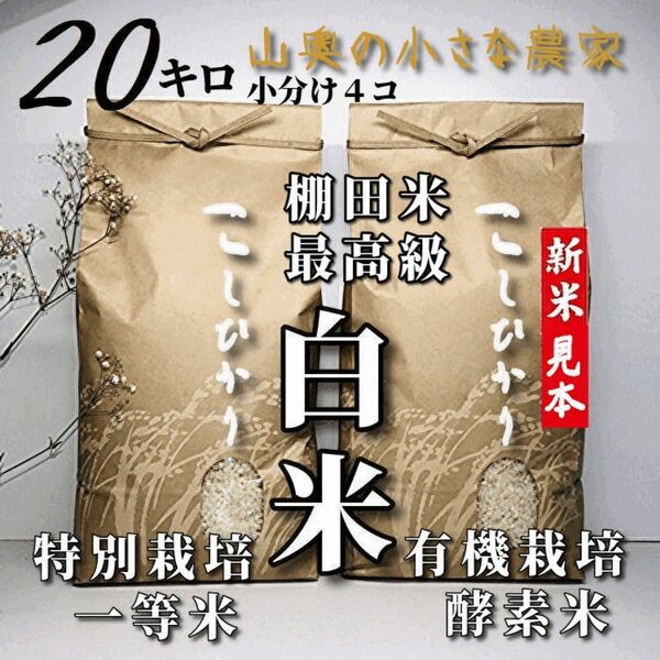 【希少】コシヒカリ　酵素米　玄米２０ｋｇ「標準白米に精米」令和５年新米　棚田米　無洗米　ミルキークィーン　ミルキークイーン　つや姫