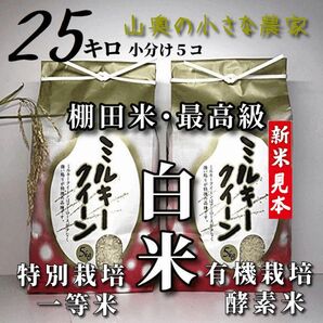 【超希少】ミルキークイーン　酵素米　玄米２５ｋｇ「標準白米に精米」棚田米　新米　米　無洗米　コシヒカリ　つや姫　ミルキークィーン