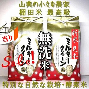 【超希少】ミルキークイーン　酵素米　玄米 10ｋｇ「無洗米に精米」棚田米　新米　米　無洗米　コシヒカリ　つや姫　ミルキークィーン