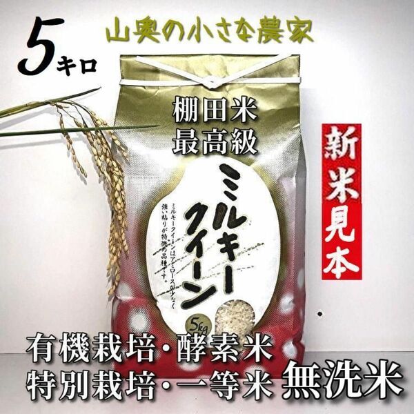 【超希少】ミルキークイーン　酵素米　玄米 ５ｋｇ「無洗米に精米」棚田米　新米　米　無洗米　コシヒカリ　つや姫　ミルキークィーン