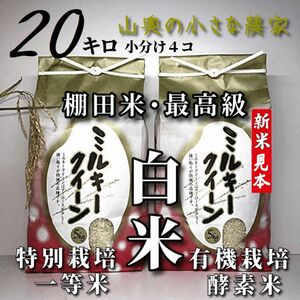 【超希少】ミルキークイーン　酵素米　玄米２０ｋｇ「標準白米に精米」棚田米　新米　米　無洗米　コシヒカリ　つや姫　ミルキークィーン