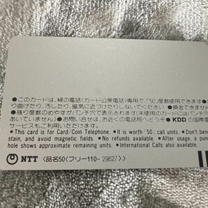 サザエさん通り命名記念 街路灯完成記念 桜新町商店街振興組合 テレカの画像4