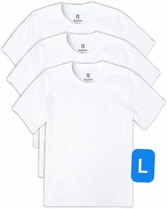 Tシャツ ホワイト 白　メンズ　 DRY SHORT SLEEVE CREW ヘインズ　3枚セット　厚手　ウェイトリフティング　L