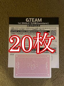 もっち様　&TEAM 応募抽選券 シリアルコード 20枚　