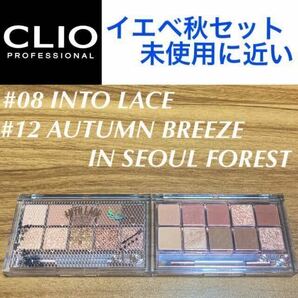 未使用に近い CLIO プロアイパレット イエベ秋 #08 イントゥーレース #12 オータムブリーズインソウルフォレスト アイシャドウ クリオ