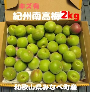  scratch equipped .. south height plum blue plum 2kg L size and more mixing Wakayama prefecture . pan block production 