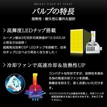 【!!】純正HIDを次世代ポン付けLEDに 光量UP! ミニ クラブマン R55 ML16/ML16S 2007.2~2010.9 信玄LED 兜 D1S 車検対応 不適合なら返金!_画像7