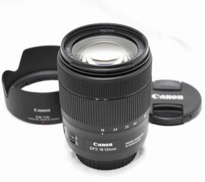 【新品級の超美品・純正フード付き】Canon キヤノン EF-S 18-135mm F3.5-5.6 IS USM