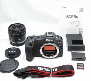 【新品級の超美品 2000ショット・SDカード付き】Canon キヤノン EOS R8 RF 24-50mm F4.5-6.3 IS STM