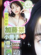 週刊 ヤングジャンプ 2024年 NO.24 特別付録 加藤栞 ８P 小冊子 付！_画像2