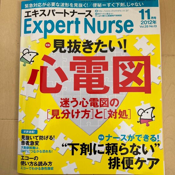 エキスパートナース　2012年11月号