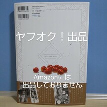 【帯付き】狼と香辛料 ～十年目の林檎酒～ 小梅けいと画集 ホロ ロレンス イラスト集 《匿名配送》_画像2