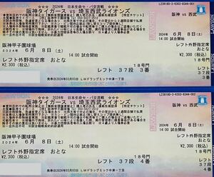 6/8 6月8日 土曜日 甲子園球場 阪神vs西武 レフト 2席
