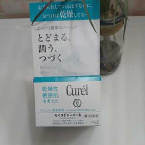 Curel モイスチャーバーム 70g