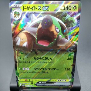 【ポケモンカード】ドダイトス ex [RR] （SV5K_005/071）拡張パック ワイルドフォース トレーディングカード ポケカ PCG PTCG ※複数個あり