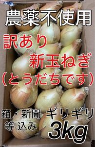 農薬不使用　新玉ねぎ　玉ねぎ　たまねぎ　タマネギ　訳あり　訳アリ　訳あり品　訳アリ品　フードロス　野菜