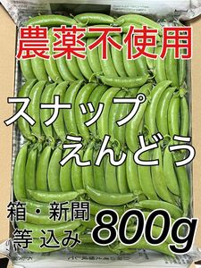 農薬不使用　野菜　野菜詰め合わせ　スナップエンドウ　スナップえんどう　えんどう　エンドウ　えんどう豆