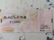花とみどりのギフト券 1万円分 有効期限2026年12月31日 フラワー券_画像2