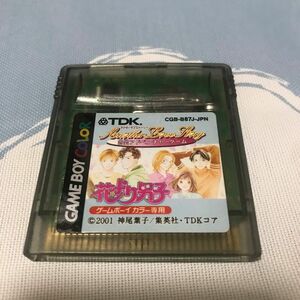 ゲームボーイカラー　花より男子　アナザーストーリー　恋愛アドベンチャーゲーム