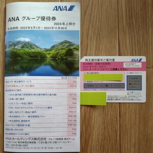 [ pursuit including carriage ] newest ANA stockholder hospitality discount ticket & booklet 