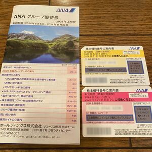 ANA 2枚 全日空