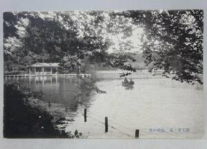 【戦前・絵葉書】 東京　府下井ノ頭　池畔の景　井の頭公園 // 古写真　資料◆