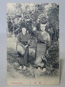 【戦前・絵葉書】 伊豆大島　薪採り // 風俗　古写真　資料◆東京都