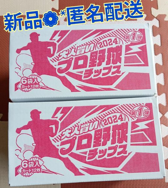 新品 未開封 大人買い プロ野球チップス 2024 箱 まとめ売り ポテトチップス