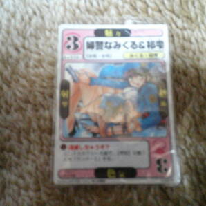 ドラゴンオールスターズ「婦警なみくる&祁雫」トレーディングカード 逮捕しちゃうぞ?