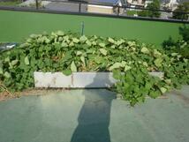 アルミ製 花壇枠 大型角形 プランター 家庭菜園用 屋上緑化 省エネA90_画像4
