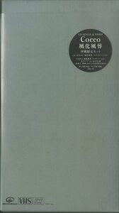 T00006168/○3インチCD/COCCO (こっこ)「風化風葬 CD Single ＆ Video 沖縄限定仕様 (2001年・VIZL-49)」