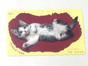 テレカ ニホンネコ 田中光常 動物 日本猫 テレホンカード