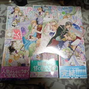 役立たず聖女と呪われた聖騎士《思い出づくりで告白したら求婚&溺愛されました》(1~6)