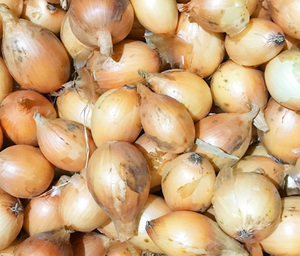  nature cultivation onion ( smaller )(5kg)* length year, less fertilizer * less pesticide, nature . symbiosis make ultimate nature agriculture law * nature. ... enough .... - (*^^*)