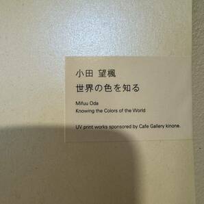 小田望楓 ed30 /JUN OSON KYNE TIDE 花井祐介 山口歴 奈良美智 ロッカクアヤコ 友沢こたお 谷口正造 山田康平 backside works 佐藤誠高の画像3