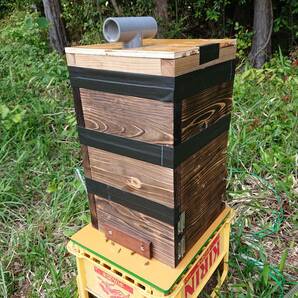日本蜜蜂 ミツバチ 蜜蜂 分蜂群 重箱 新型 ハイブリッド 巣箱 暑さ・ダニ・スムシ対策  ベンチュリー式除熱湿器 メントール箱付の画像1