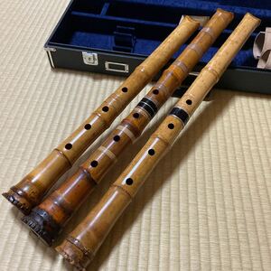 ② Shakuhachi Junk Rading 3 ПК с жестким корпусом