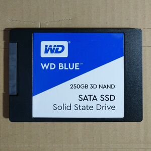 2.5インチSSD 厚さ7mm WesternDigital WDS250G2B0A 容量250GB 使用時間13188時間