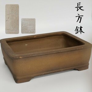 寺畑陶園　真山造　長方鉢　植木鉢 盆栽鉢 鉢 品鉢 ガーデニング　陶器 玄関 庭 ディスプレイ 飾り 小道具 古道具【80i3864】