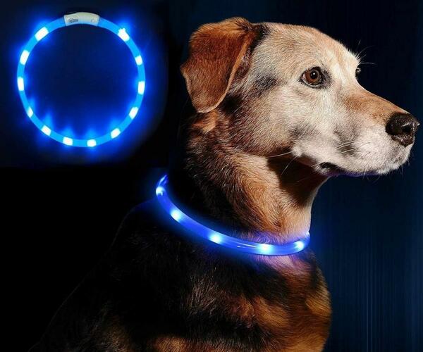 犬の散歩用ライト ブルー 光る首輪 犬 散歩 光る ライト 首輪